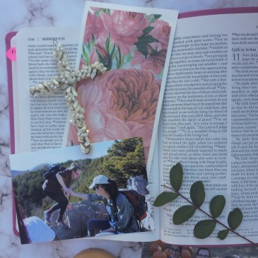 Processed with VSCO with m3 preset