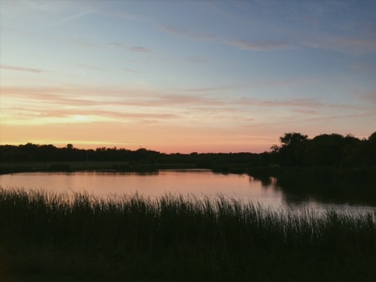 Processed with VSCO with p5 preset